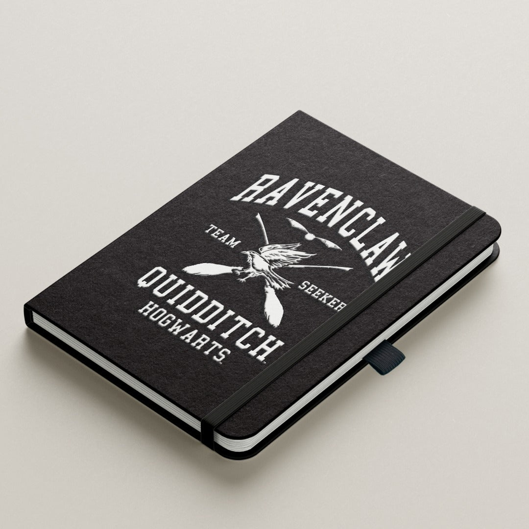 Ravenclaw Quidditch 3D Diary