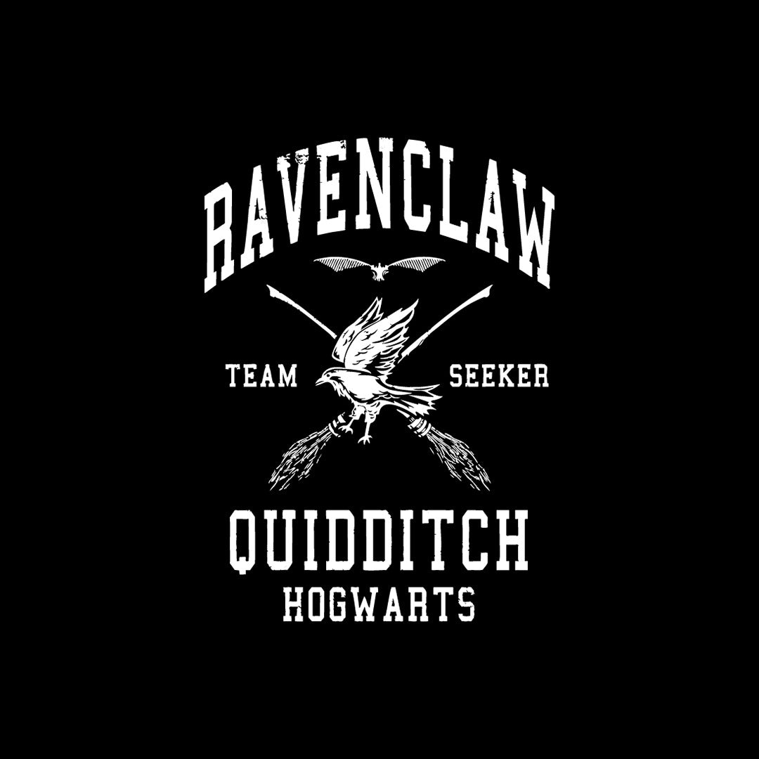 Ravenclaw Quidditch 3D Diary